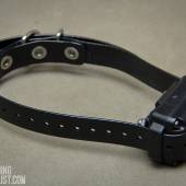 Iq Plus Collar 002 Iq Plus Collar 002