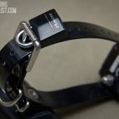 Iq Plus Collar 005 Iq Plus Collar 005