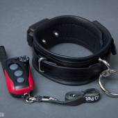 Dsg Shock Collar Bdsm 004