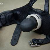 Dsg Open Mouth Gag 009 Dsg Open Mouth Gag 009