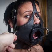 Dsg Open Mouth Gag 023 Dsg Open Mouth Gag 023