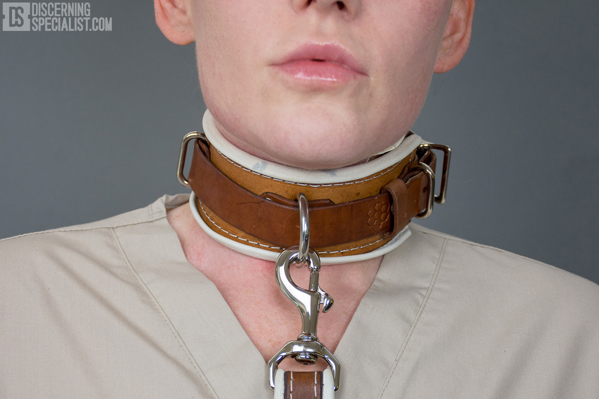 dual shock collar | cuffed store KDC Classic shock collar | Shock collar .....